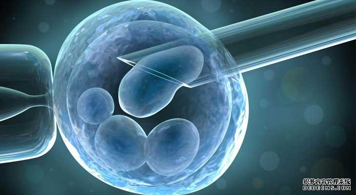 乌克兰试管婴儿采用pgd帮助选择男性胚胎