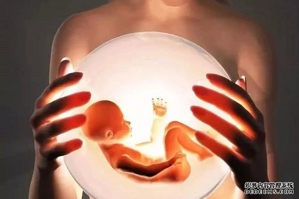 胚胎的质量是决定试管婴儿成功率的重要因素