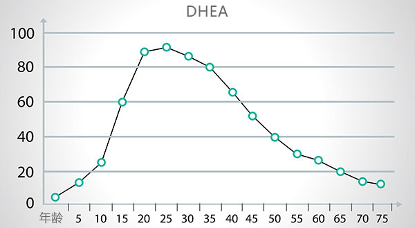 如何提高DHEA水平